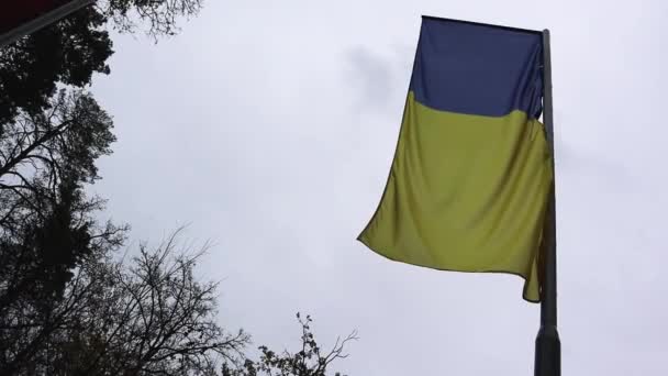 Flagga Ukraina Flaggstång Fladdrar Vinden Mot Djup Dramatisk Himmel Molnigt — Stockvideo