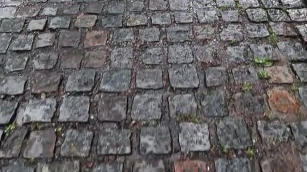 Ein Nasser Bürgersteig Schafft Eine Glänzende Kulisse Steinstraße Pflastersteine Der — Stockvideo