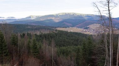 Karpat Dağları 'nda dağ zirveleri olan renkli sonbahar manzarası. Karpatlar, Ukrayna, Avrupa. Güzellik dünyası. Turuncu yapraklı orman. Batı Ukrayna 'da sonbahar güneşli günü