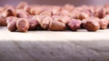 Çiğ fıstık yığını. Yeraltında ya da yeraltında yetiştirilmiş fıstık. Baklagil ailesinin bitkisi. Endüstriyel ölçekte tarım mahsulü. Güney Amerika fıstıkların doğduğu yer olarak kabul edilir.