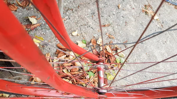 Rétro Vintage Vélo Rouge Fermer Vieux Concept Charmant Vélo Abandonné — Photo