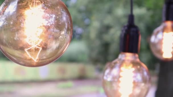 Une Guirlande Vintage Décorative Lampes Edisson Pend Brille Avec Éclairage — Video