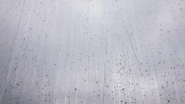 水滴在玻璃杯上的特写 秋天的雨中 大滴落在窗玻璃上 白天在天空中流下 秋天和雨季的概念 恶劣天气 — 图库视频影像