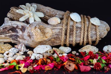 Kabuklu kağıt tekne ve arka planda eski kütük, deniz ve tatil konsepti