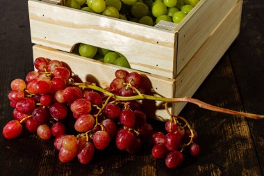 Taze toplanmış taze İtalyan beyaz üzümü ve pembe üzüm