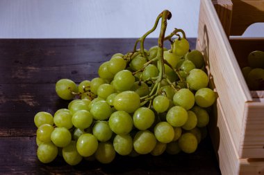 Taze toplanmış taze İtalyan beyaz üzümü ve pembe üzüm