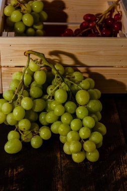 Taze toplanmış taze İtalyan beyaz üzümü ve pembe üzüm