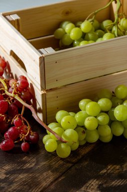 Taze toplanmış taze İtalyan beyaz üzümü ve pembe üzüm