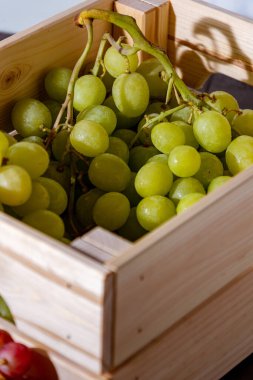 Taze toplanmış taze İtalyan beyaz üzümü ve pembe üzüm