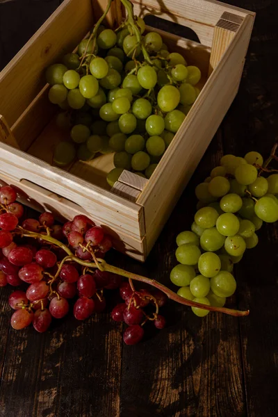 Taze toplanmış taze İtalyan beyaz üzümü ve pembe üzüm