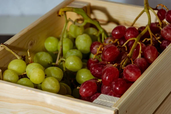 Raisin Blanc Italien Frais Fraîchement Récolté Raisin Rose — Photo