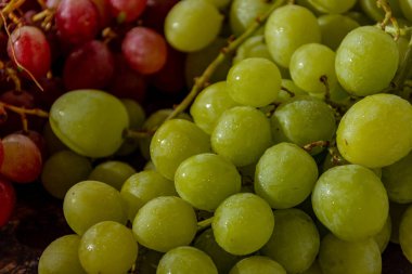 Taze toplanmış taze İtalyan beyaz üzümü ve pembe üzüm