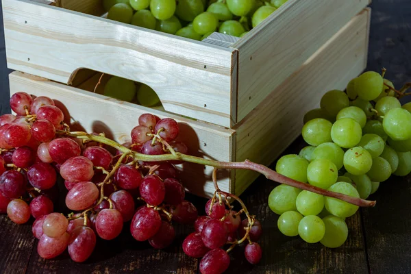 Frisch Geerntete Italienische Weiße Und Rosa Trauben — Stockfoto