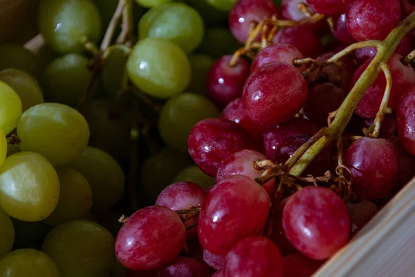 Frisch Geerntete Italienische Weiße Und Rosa Trauben — Stockfoto