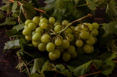 Taze toplanmış taze İtalyan beyaz üzümü ve pembe üzüm 