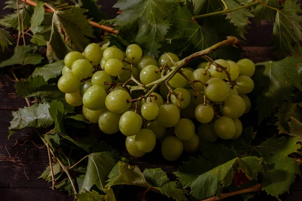 Taze toplanmış taze İtalyan beyaz üzümü ve pembe üzüm 