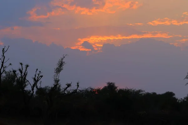 Colorido Céu Doméstico Nuvens Entre Pôr Sol Atrás Árvores Silhueta — Fotografia de Stock