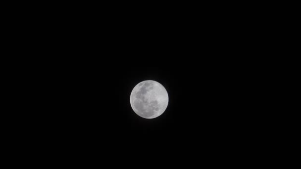 Luna Piena Lucente Costante Che Brilla Nel Cielo Estivo Notte — Video Stock