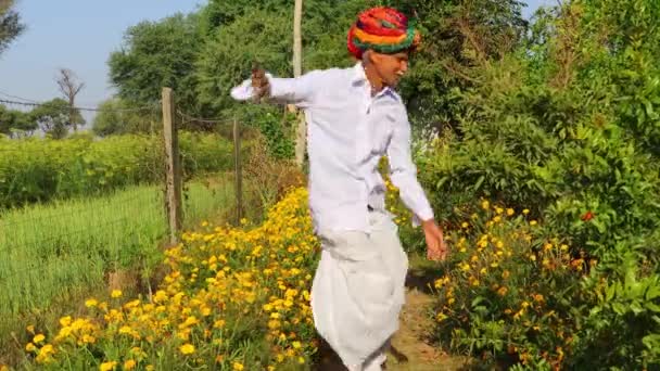 Seorang Petani Mengenakan Adat Istiadat Dan Tradisi Dan Menari Taman — Stok Video