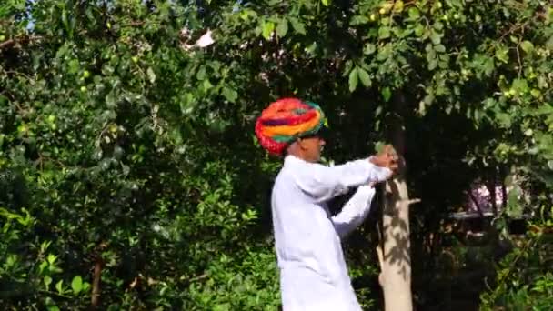 Fazendeiro Está Dançando Jardim Turbante Está Amarrado Cabeça — Vídeo de Stock