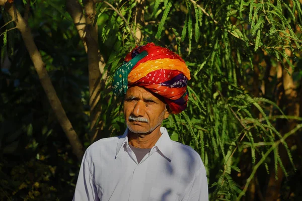 Enligt Rajasthani Kultur Indisk Bonde Bär Färgglad Turban Poserar Grön — Stockfoto