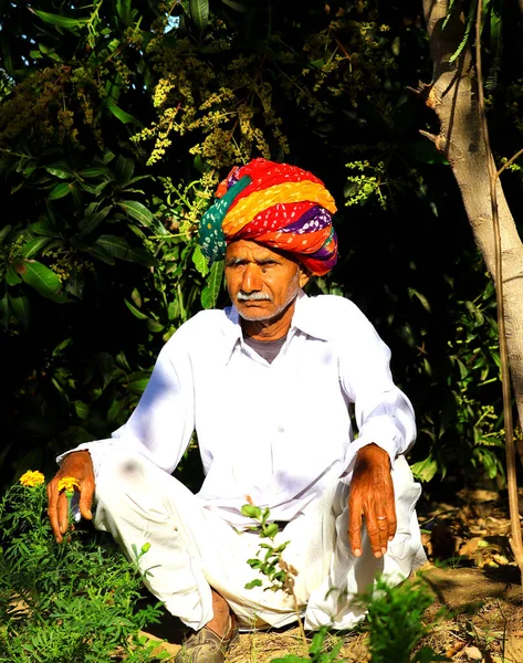 문화에 따르면 정원에 터번과 힌두교 — 스톡 사진