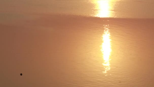 朝の日の出に流れる川での太陽の光の映像と ちらつきの波の形成 トンボが水面を飛ぶ — ストック動画