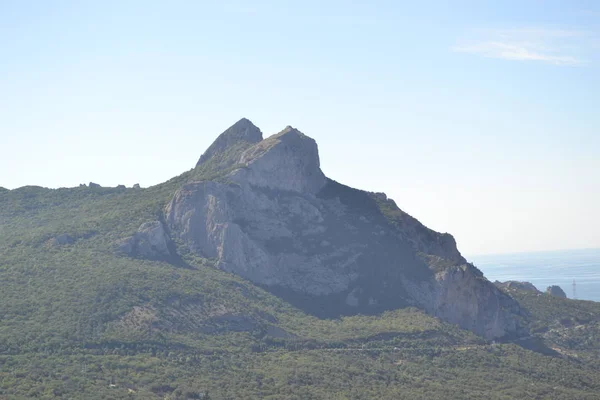 Krim Natuur Bergen Zee Bossen — Stockfoto