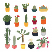 Különböző kaktuszok gyűjteménye, fehér alapon elkülönítve. Házi növények. Virágzó kaktuszok. Rajzfilm kaktuszkészlet. Vektor illusztráció lapos stílusban