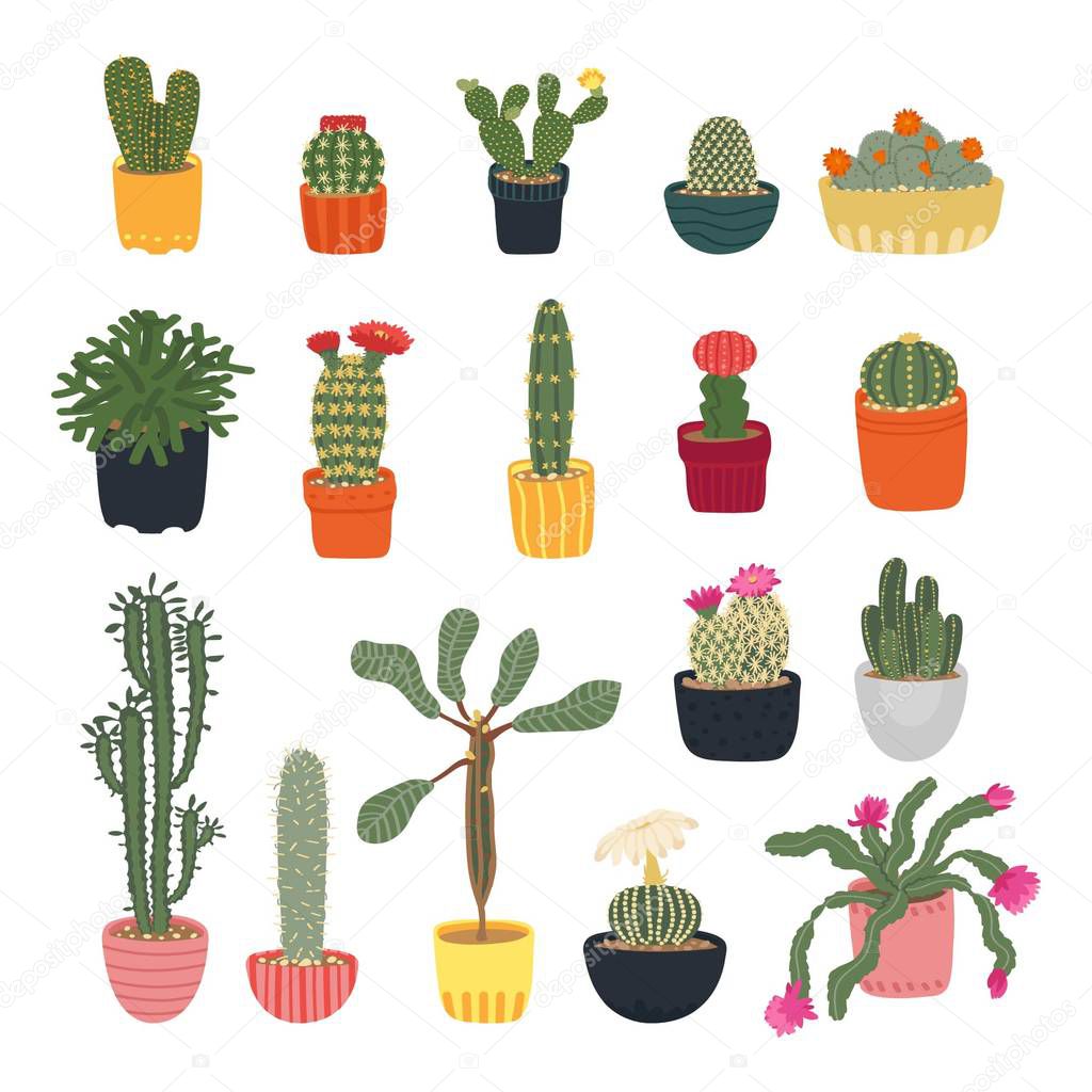 Collection of different cacti isolated on a white background. Houseplants. Blooming cacti. Cartoon cactus set. Vector illustration in flat style