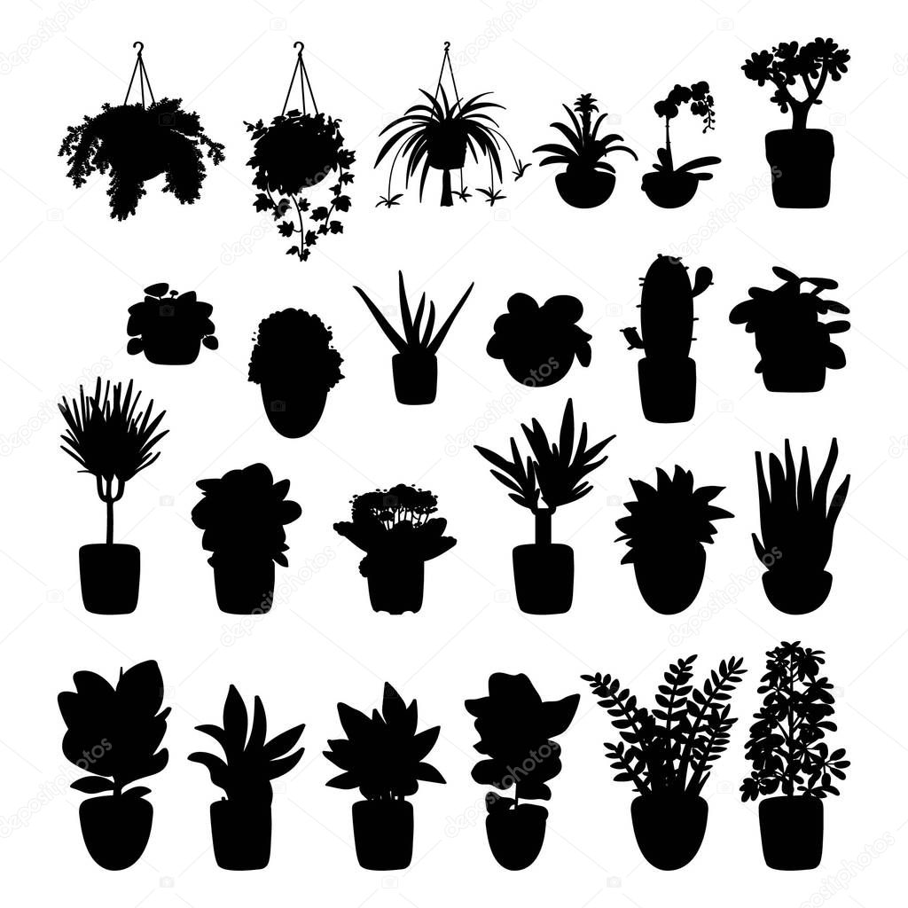 Collection of silhouettes of indoor plants. Pot plants isolated on white background. Simple vector illustration