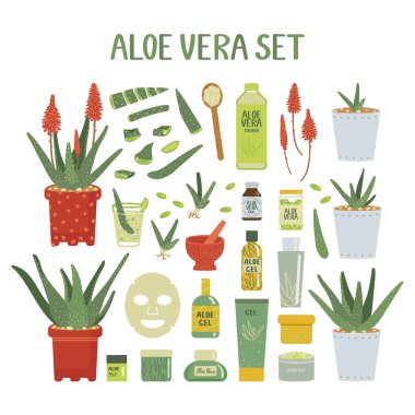 Büyük bir aloe vera seti. Saksı bitkileri, kozmetik ürünleri ve tıbbi ürünler. Koleksiyon beyaz arkaplanda izole edildi. El yazması çizim tarzında vektör illüstrasyonu
