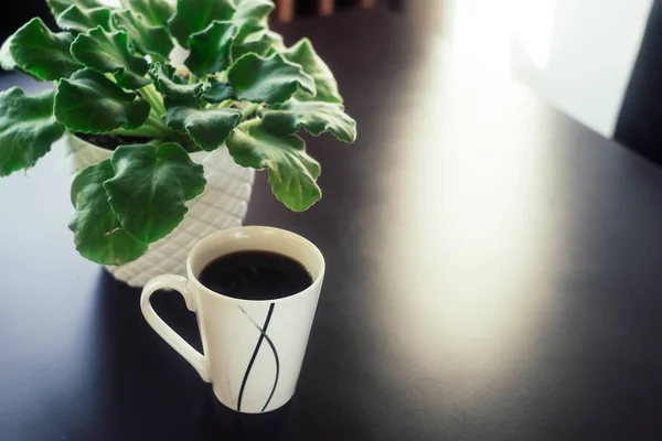 A Cup of Coffee With Plant