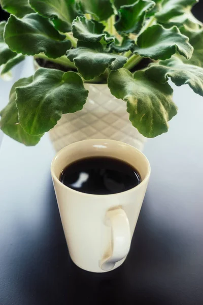 A Cup of Coffee With Plant