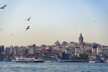 İstanbul, Türkiye'de Yerel Pazar Yerinde Fiyat Etiketi olan Havuçlar