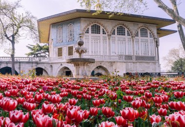 Red and Pink Tulips in Garden with Ottoman Architecture clipart