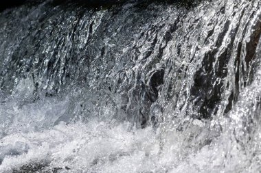 Bir dağ nehrinin küçük şelalesi. su yakın plan