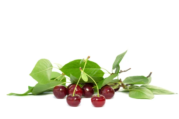 Bayas Cereza Aisladas Sobre Fondo Blanco —  Fotos de Stock