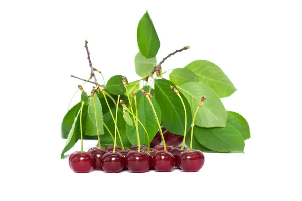 Bayas Cereza Aisladas Sobre Fondo Blanco —  Fotos de Stock