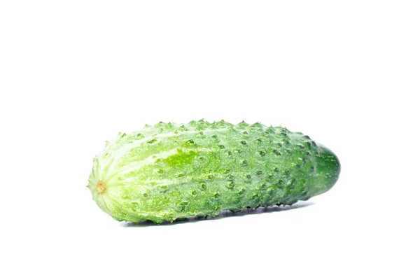 Reife Grüne Gurke Isoliert Auf Weißem Hintergrund — Stockfoto