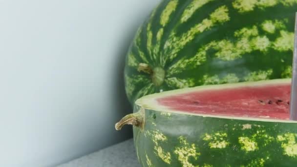 Halved Watermelon One Whole Watermelon Panorama — Stock Video