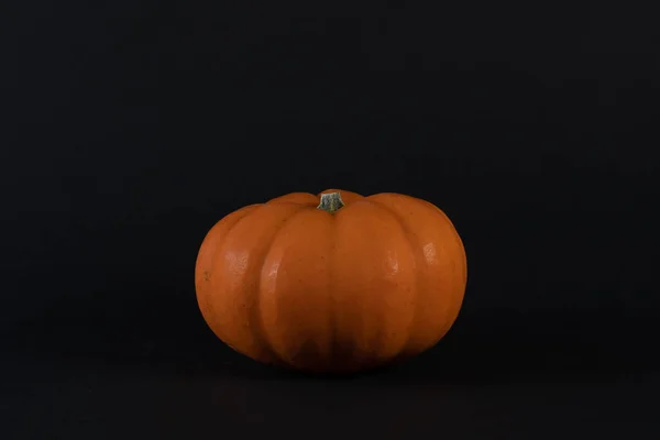 Una mini zucca arancione . — Foto Stock