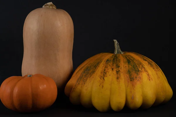 Sección recortada de tres calabazas diferentes . —  Fotos de Stock