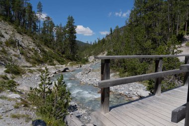 İsviçre 'nin Engadin bölgesindeki vahşi bir doğal koruma parkında ahşap köprü..