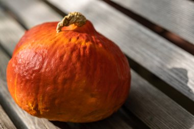 Dışarıdaki ahşap bir bankta güneş ışığında turuncu balkabağı olan tatil sembolü..