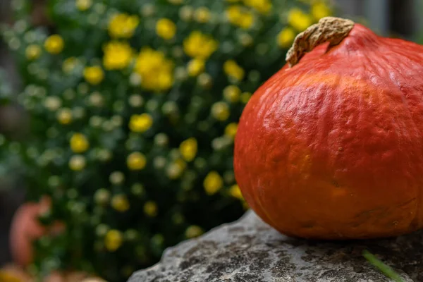 Zucca arancione su scale in pietra in primo piano con mazzo di fiori gialli sullo sfondo . — Foto Stock