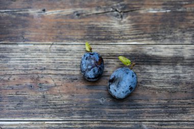 Ahşap arka planda iki erik. Mavi meyve, içinde ahşap çekirdek olan çok tatlı. Pişirme, reçel ve likör için bir meyve. Yakın çekim, yüksek açı görünümü.