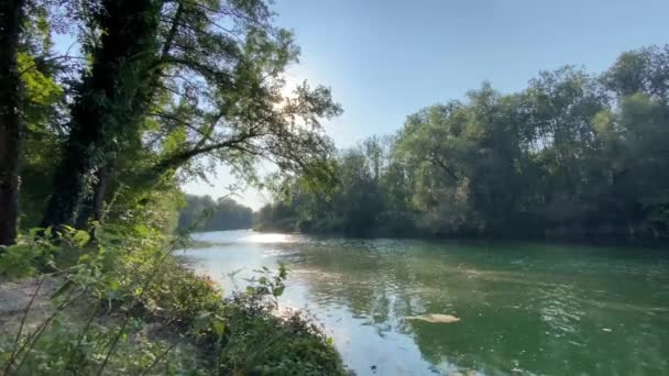 Calmo Rio Aare Flutuante Final Dia Verão Dos Maiores Rios — Vídeo de Stock