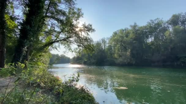 Yaz Gününün Sonlarına Doğru Sakin Sakin Bir Nehir Sviçre Nin — Stok video