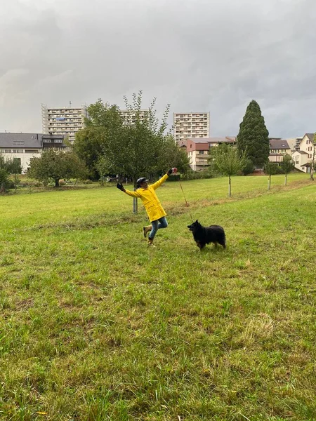 Sonbaharda yağmurlu bir günde jaguar desenli sarı yağmurluk ve yağmur botlu mutlu bir kadın köpekle oynuyor. Dikey çekim.